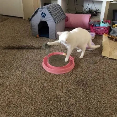 Interactive cat scratcher toy with ball track and replaceable cardboard scratching surface