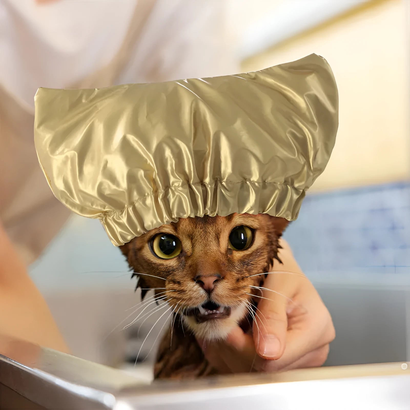 Adjustable waterproof shower cap for dogs and cats in silver, pink, and gold colours with ear protection