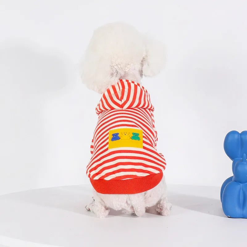 Orange cotton hooded dog sweater for bull pugs in Japanese Korean style