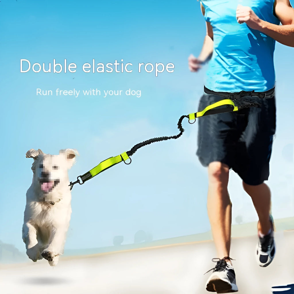 Adjustable dog running belt with retractable leash in blue orange or green colours