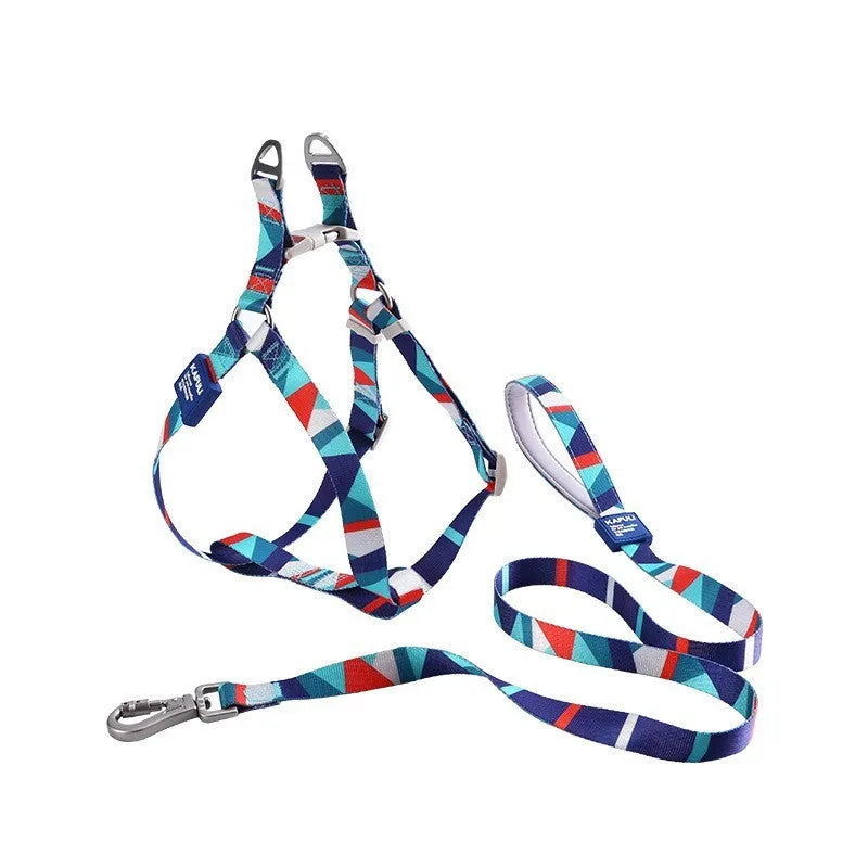 Blue polyester dog harness and lead combo set showing adjustable chest strap and attached rope.
