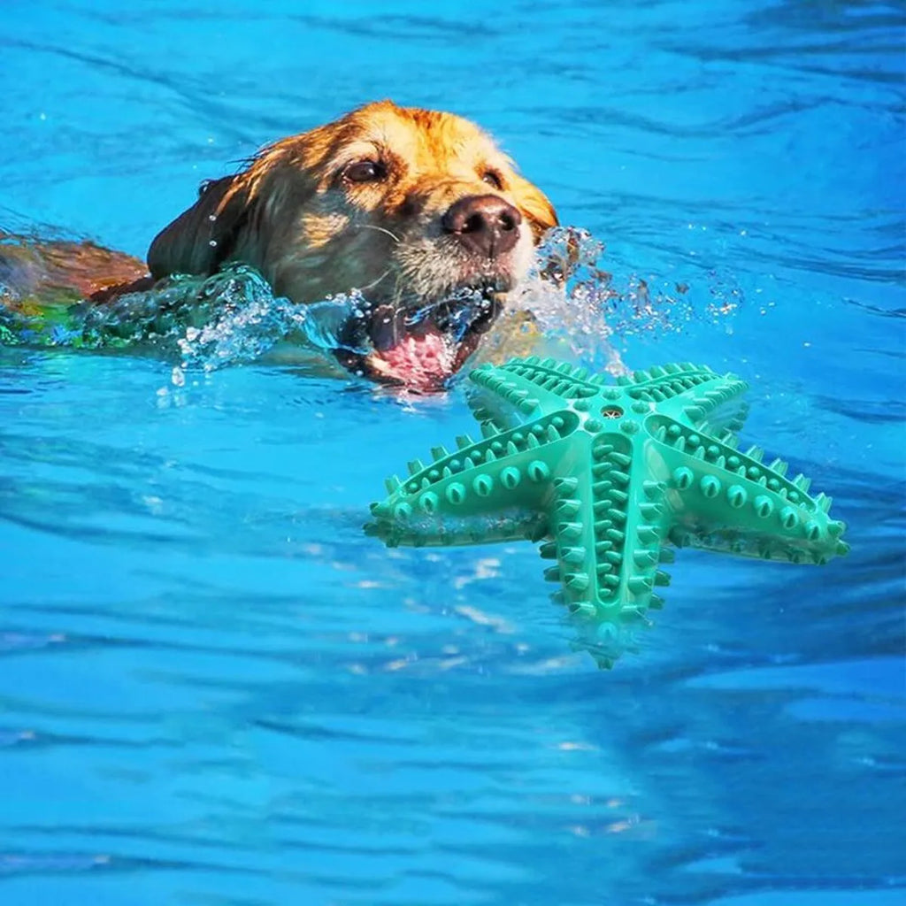 Edible TPR starfish-shaped dog chew toy with squeaker for large breed dental care