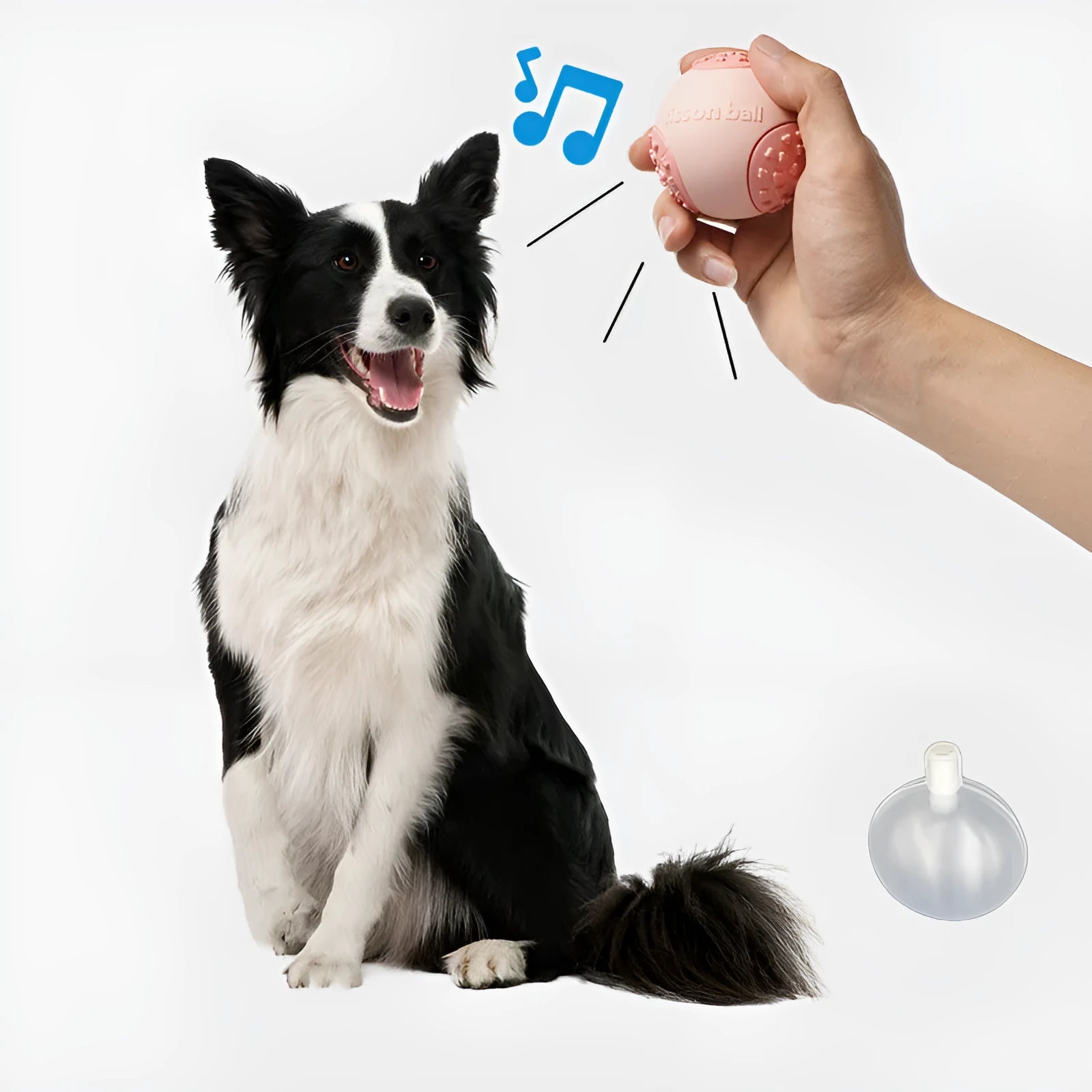 Green rolling ball dog toy for small medium dogs showing 64mm diameter size