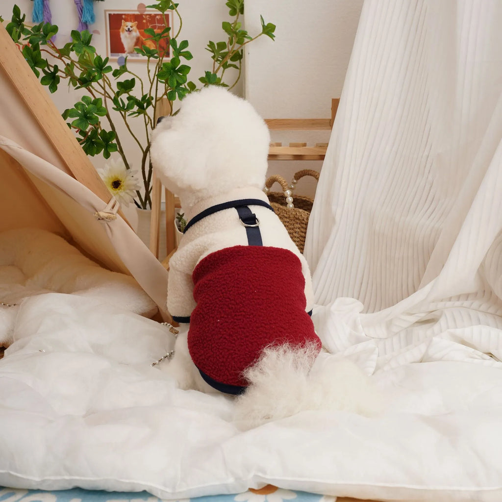 Dog wearing lambswool Berber fleece sweatshirt in caramel colour for autumn winter wear