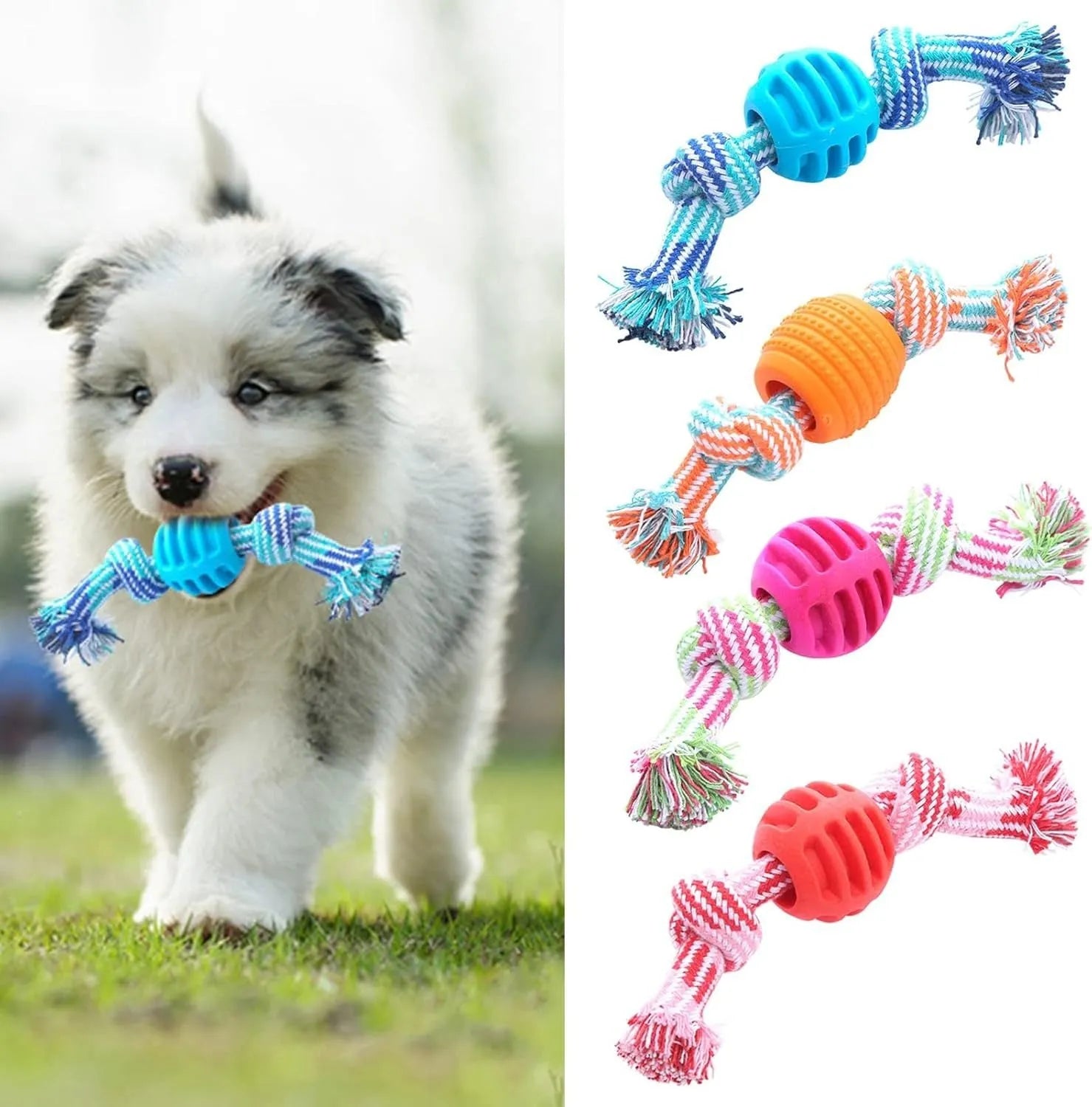 Blue silicone dog chew toy with woven cotton ropes in molar stick design