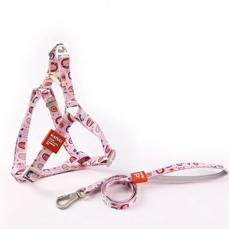 Blue polyester dog harness and lead combo set showing adjustable chest strap and attached rope.