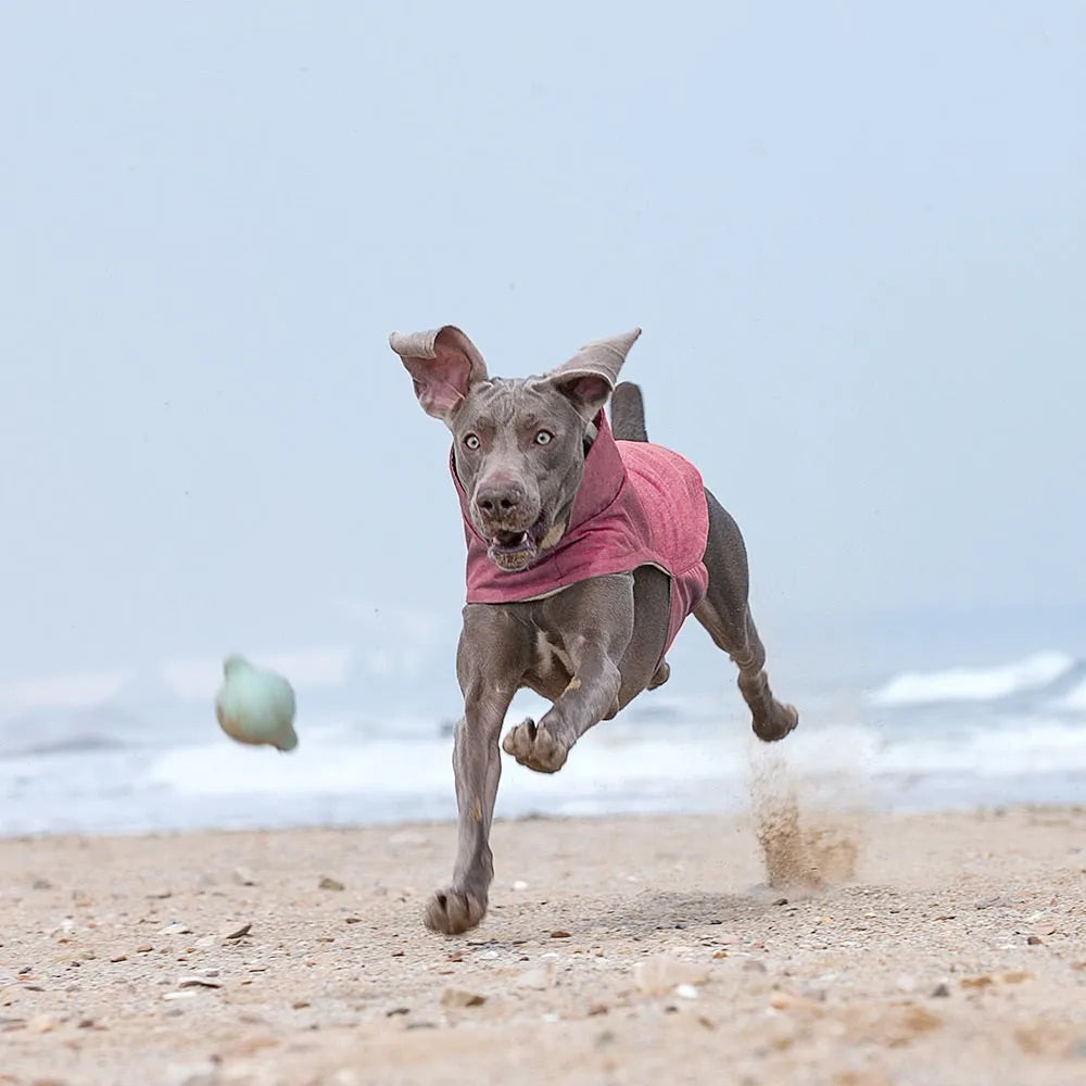 Polyester dog cold-proof vest in rose red, light blue, or grey for medium to large breed dogs
