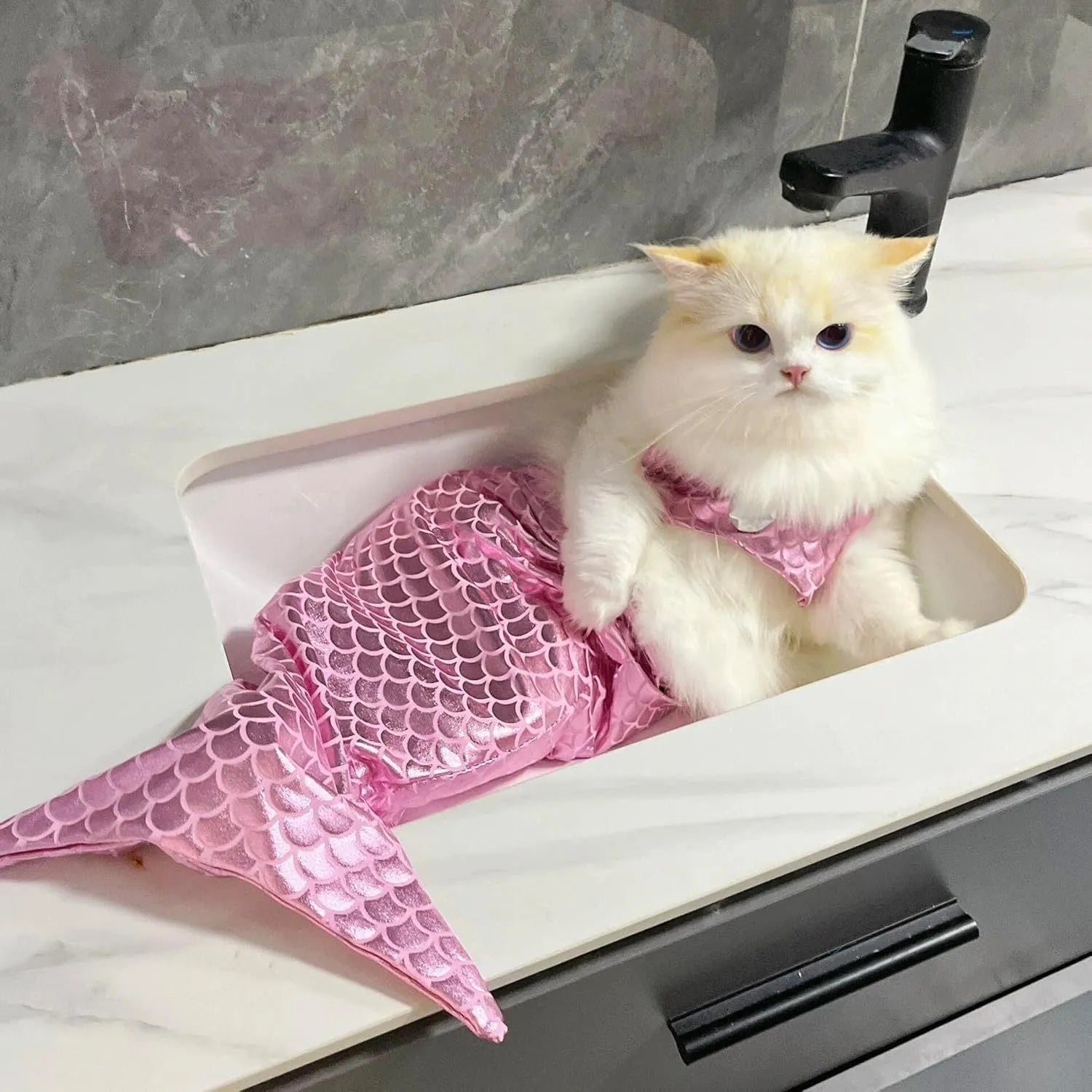 Blue pet mermaid costume on small cat with fish tail and decorative bow
