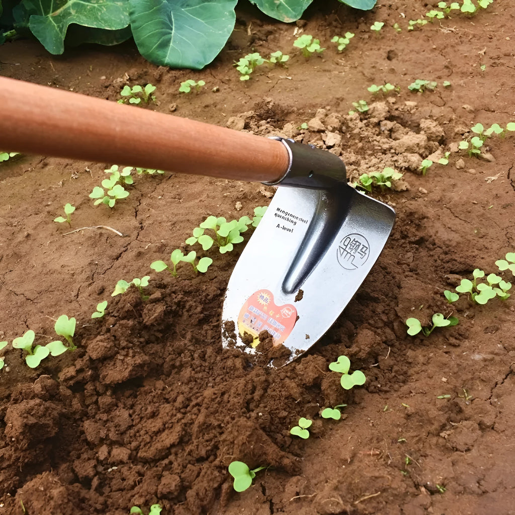 Agricultural pointed flat hoe tool with a steel horse tip for gardening.