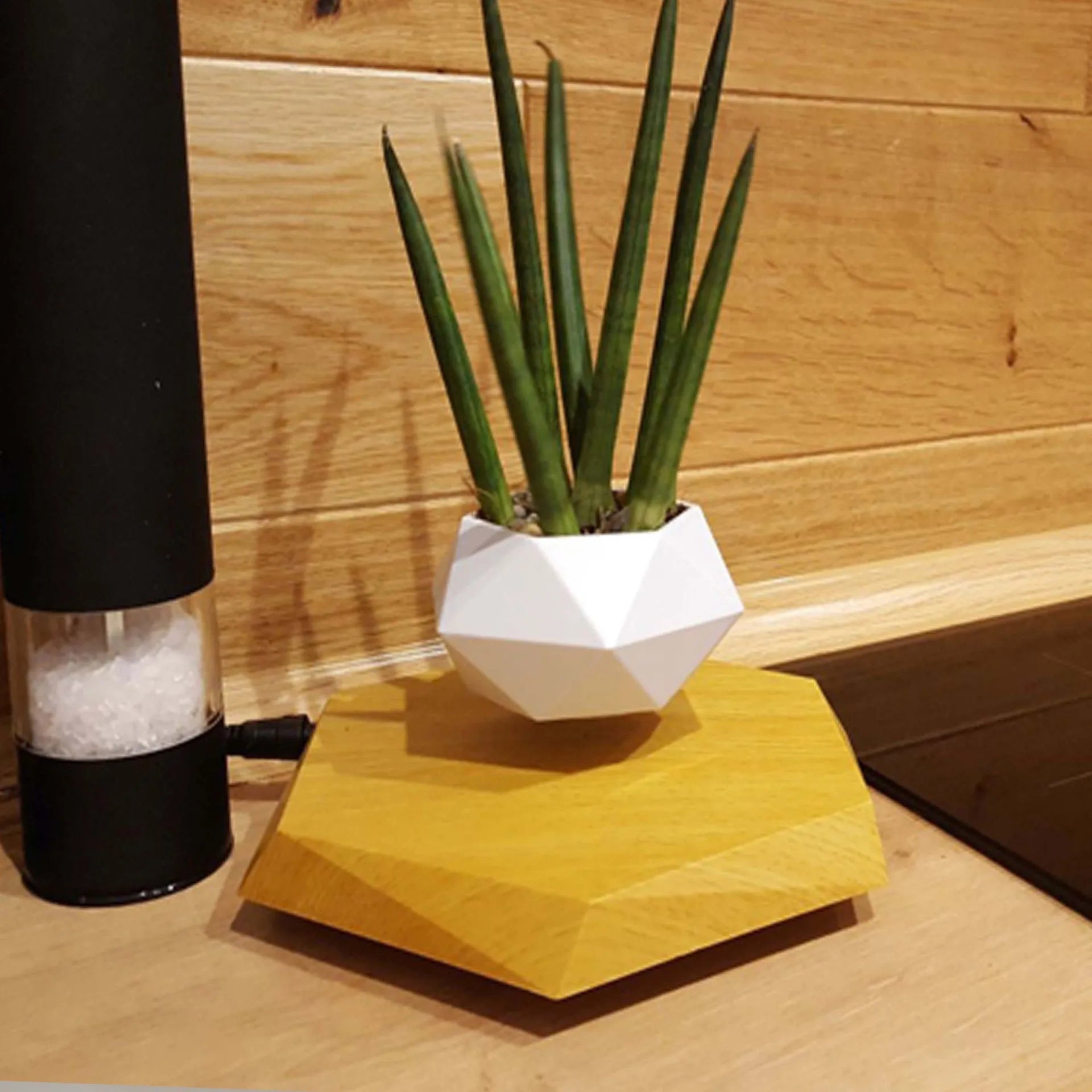 Hexagonal wood grain magnetic levitating flower pot floating above matching base
