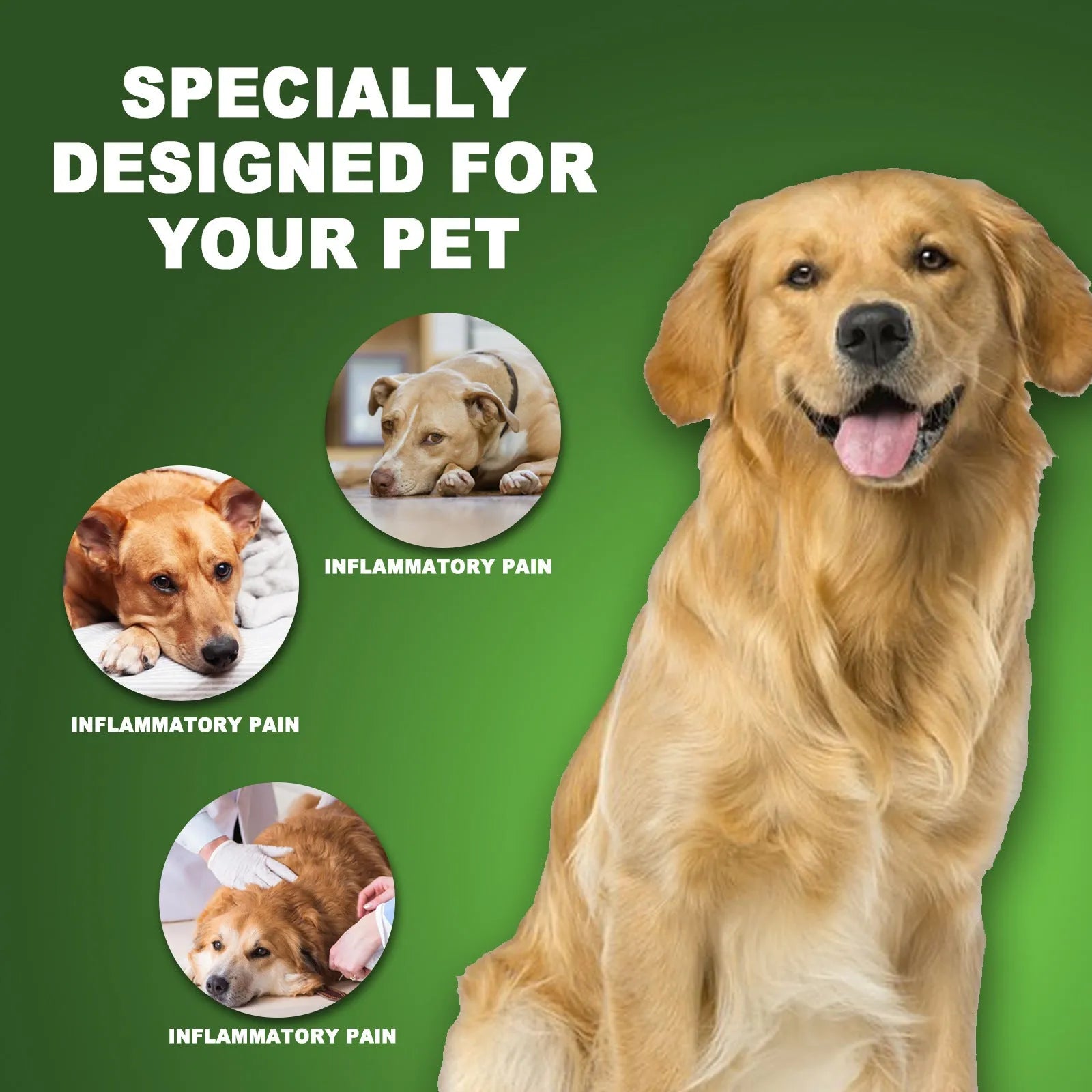 60ml bottle of natural pet care drops with dropper, containing cranberry and echinacea extract.