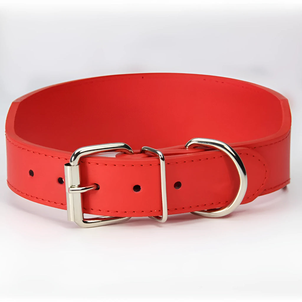 Large dog leather collar with fish-shaped buckle in assorted colours on a white background.