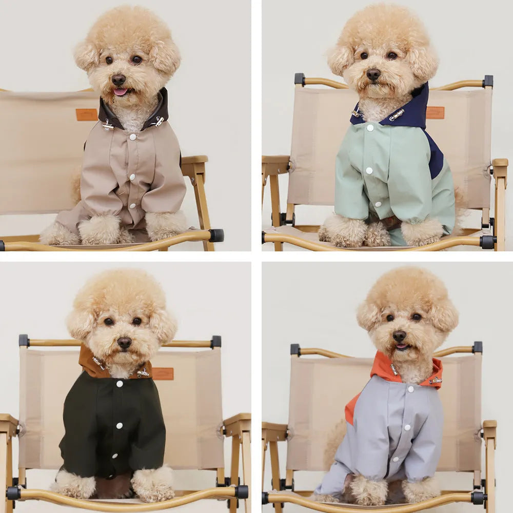 British style khaki polyester waterproof shell jacket on a small dog.
