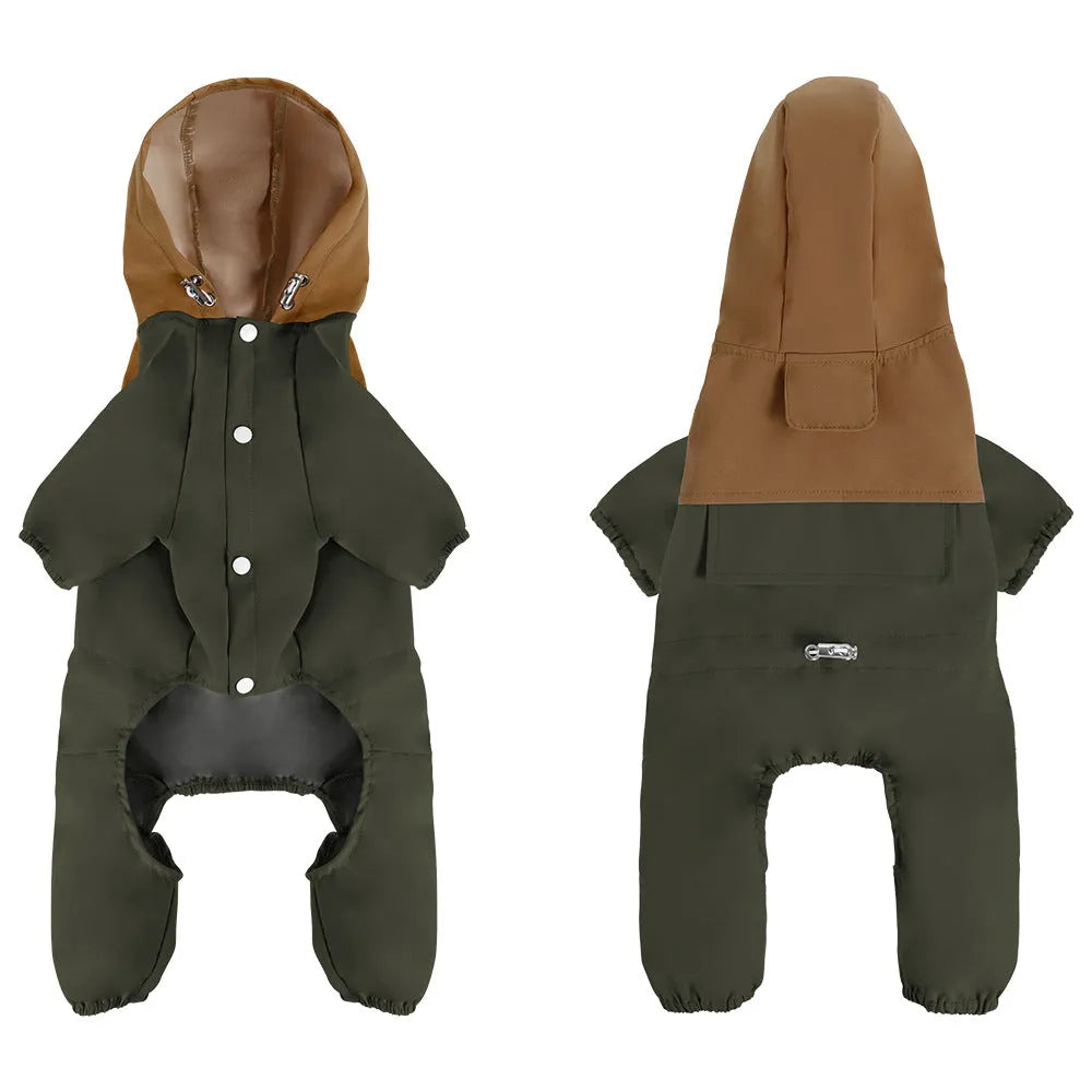 British style khaki polyester waterproof shell jacket on a small dog.