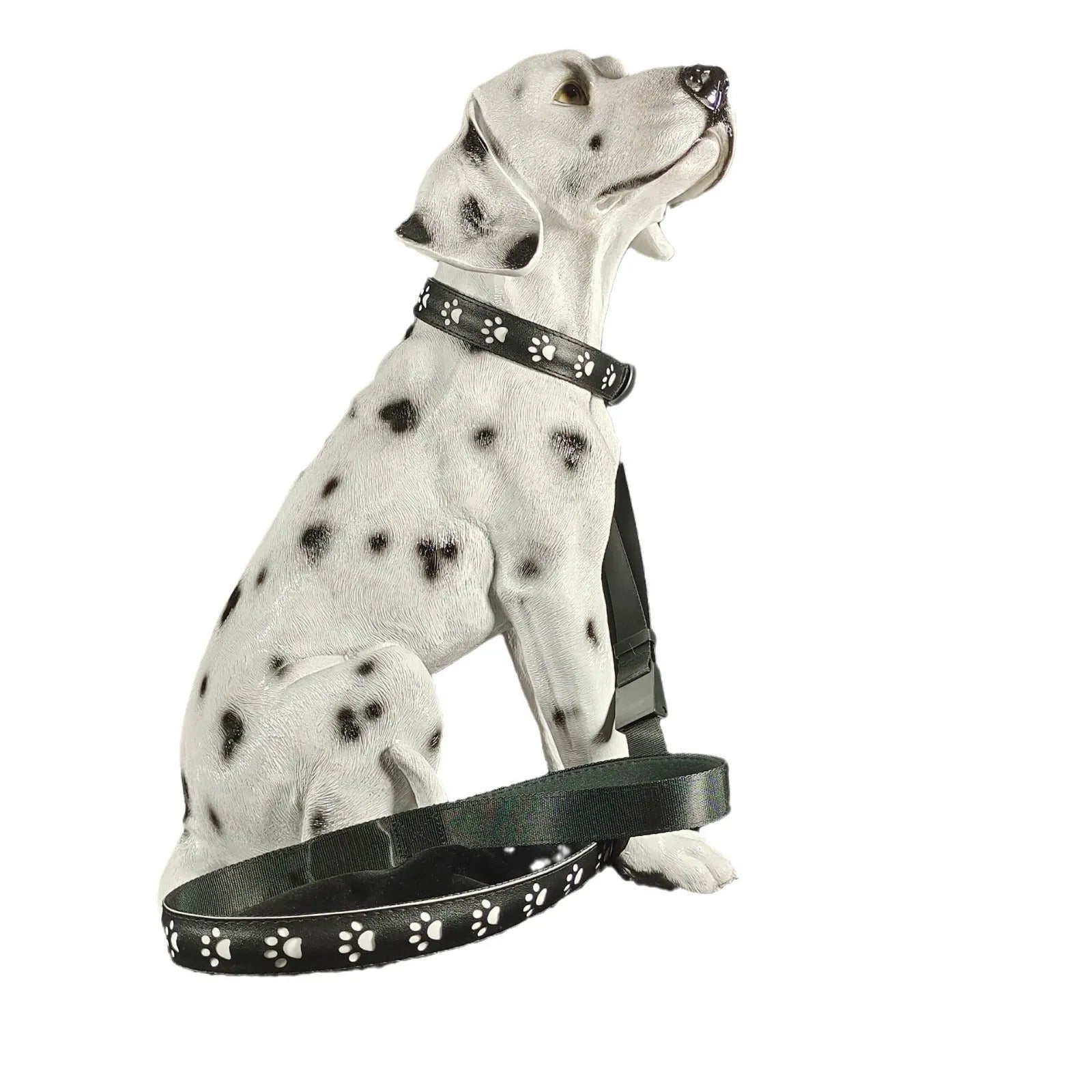 LED luminous dog collar showing seven different coloured lights on a black adjustable polyester strap.