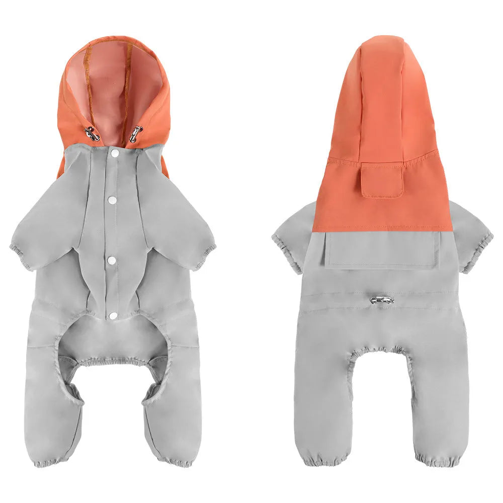 British style khaki polyester waterproof shell jacket on a small dog.
