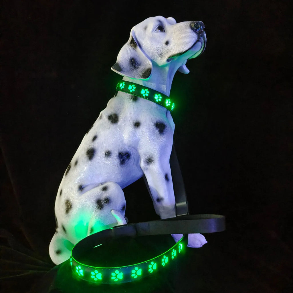 LED luminous dog collar showing seven different coloured lights on a black adjustable polyester strap.
