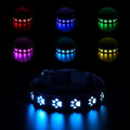 LED luminous dog collar showing seven different coloured lights on a black adjustable polyester strap.