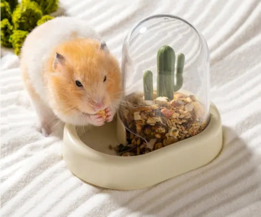 Transparent automatic hamster feeder with 190ml grain capacity in mint green colour