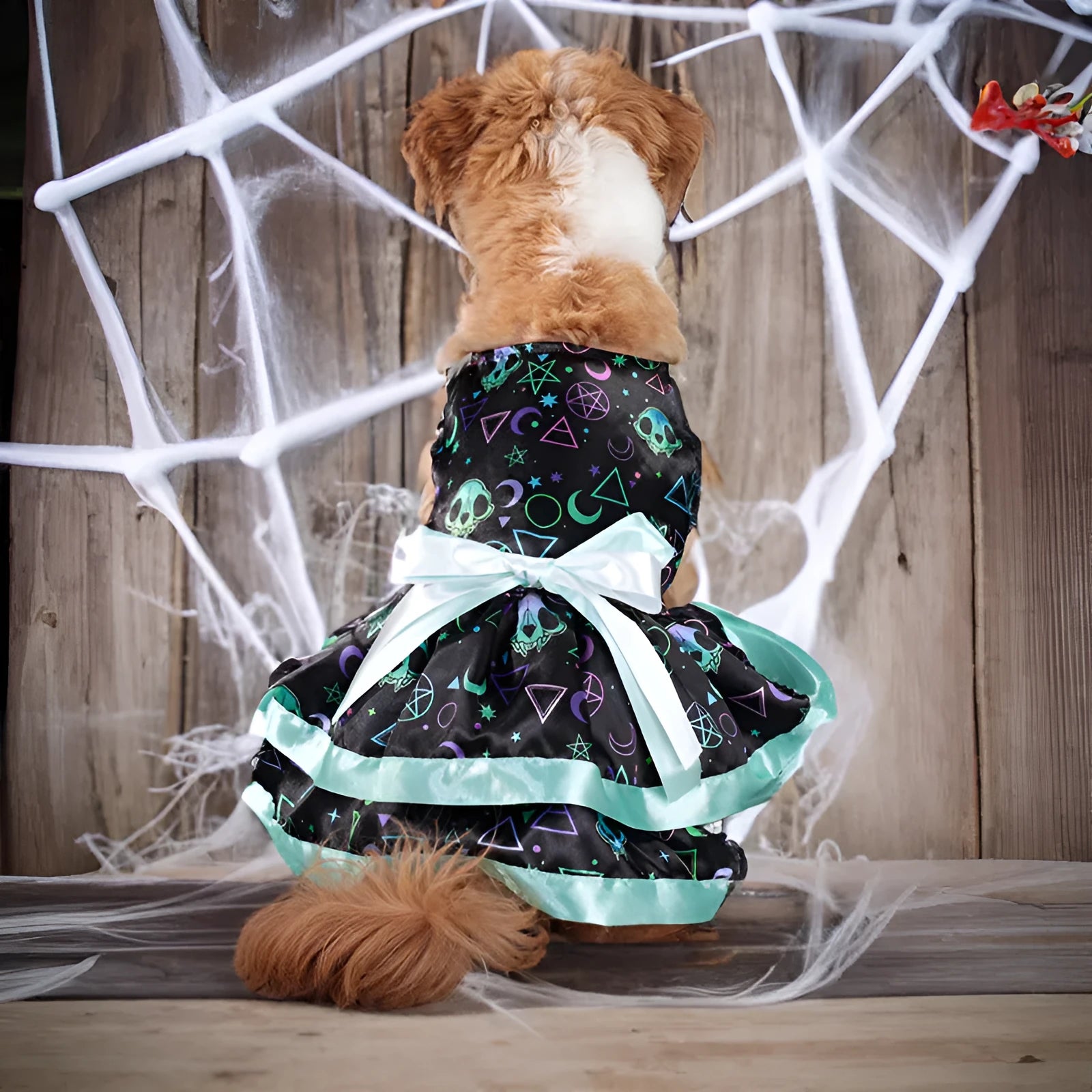 Colourful Halloween dog skirt with pumpkin print, double-layer polyester.