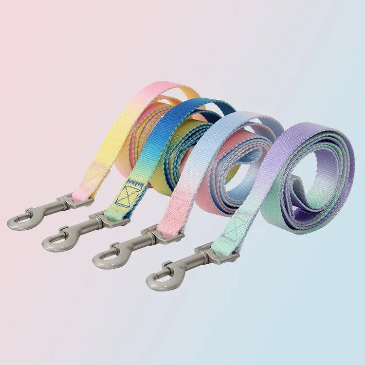 Gradient colour nylon dog leash shown in pink and blue, with collar attachment style.