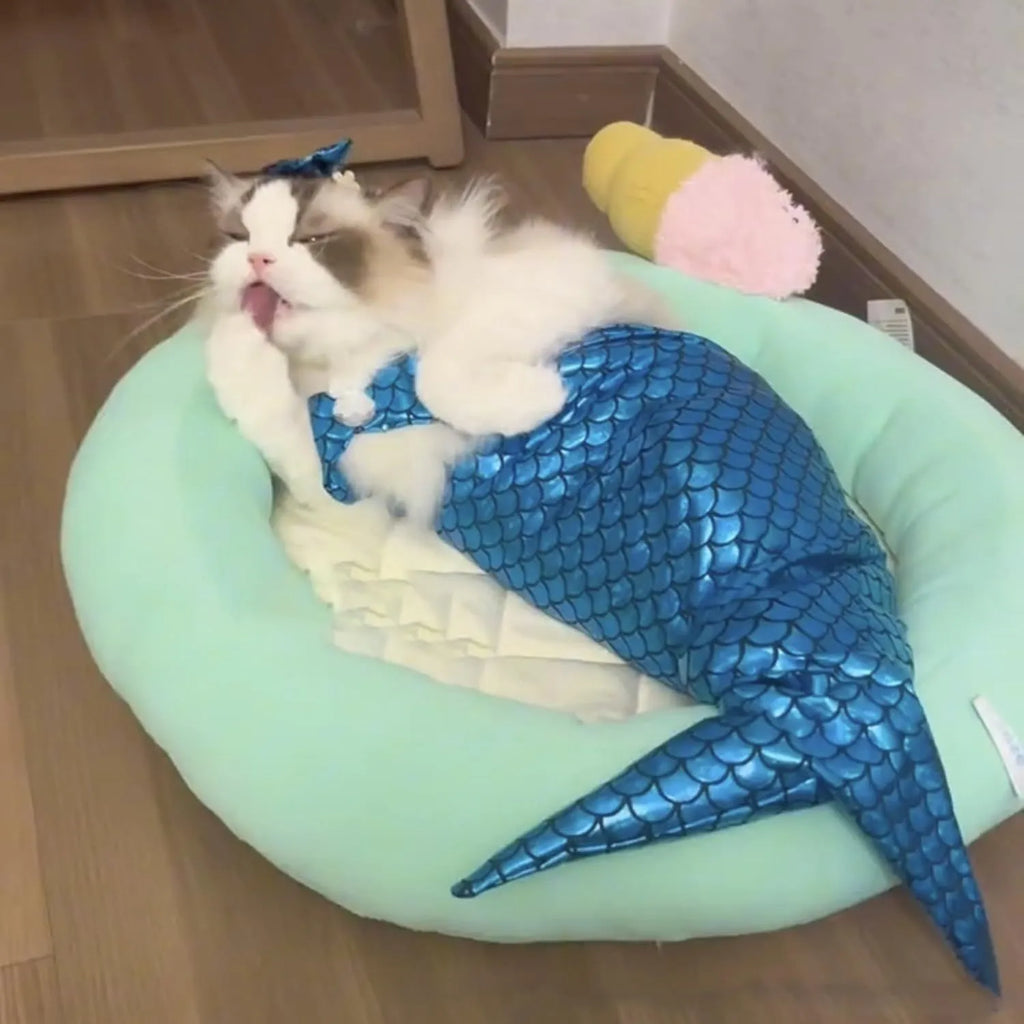 Blue pet mermaid costume on small cat with fish tail and decorative bow