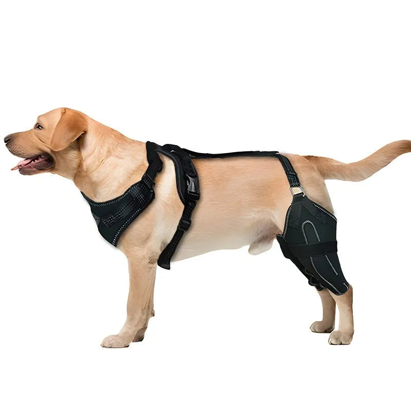 Black dog thigh protective sleeve with adjustable metal support for postoperative leg recovery