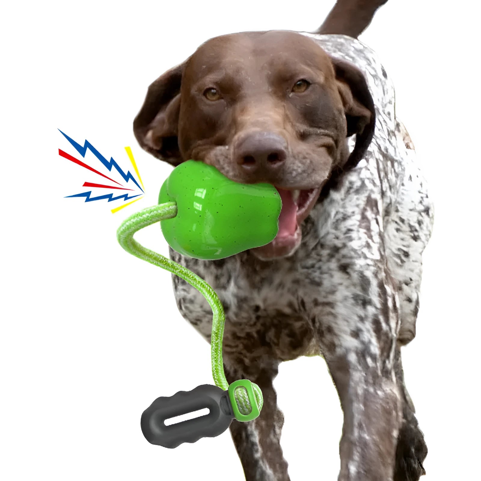 Green plastic dog molar toy with a built-in food-dropping ball on a white background.