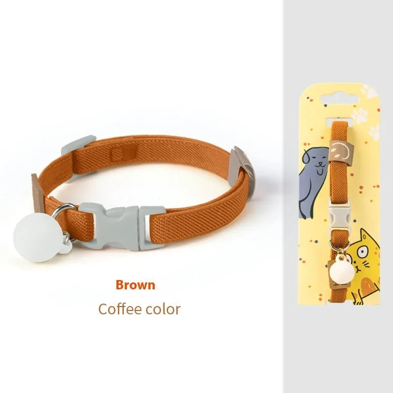 Small dog wearing a high elasticity polyester pet collar in a choice of seven solid colours.