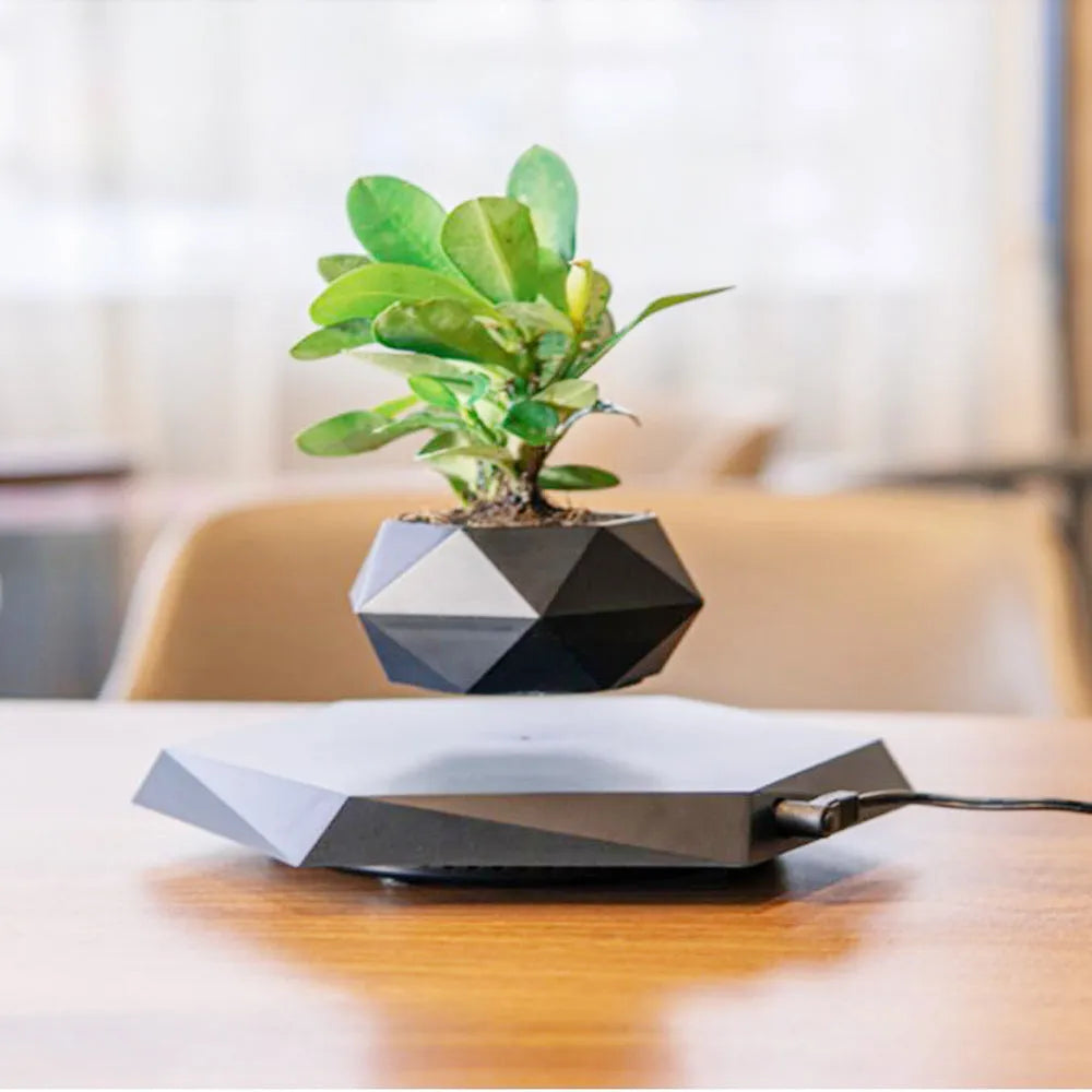 Hexagonal wood grain magnetic levitating flower pot floating above matching base