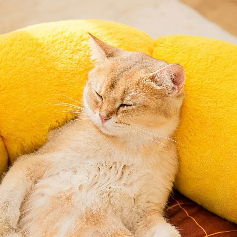 PV velvet cat nest mat pet bed in sunflower, dinosaur or chinchilla designs showing nest-style construction