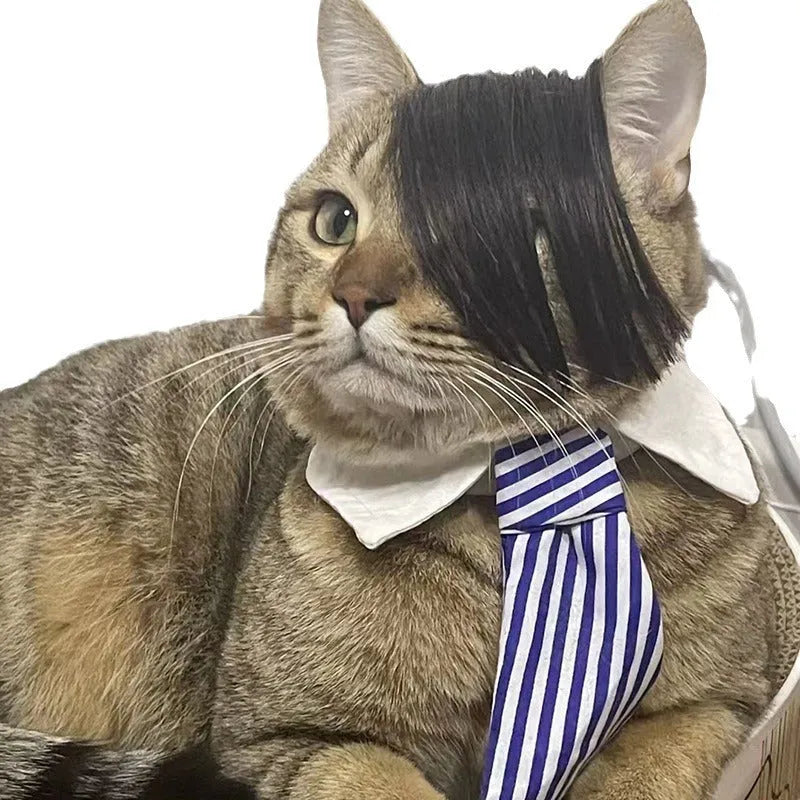 Black polyester pet wig with imitation braid style for cats on a white background
