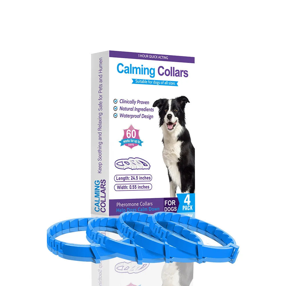 Four identical TPR dog collars in different colours on a white background.