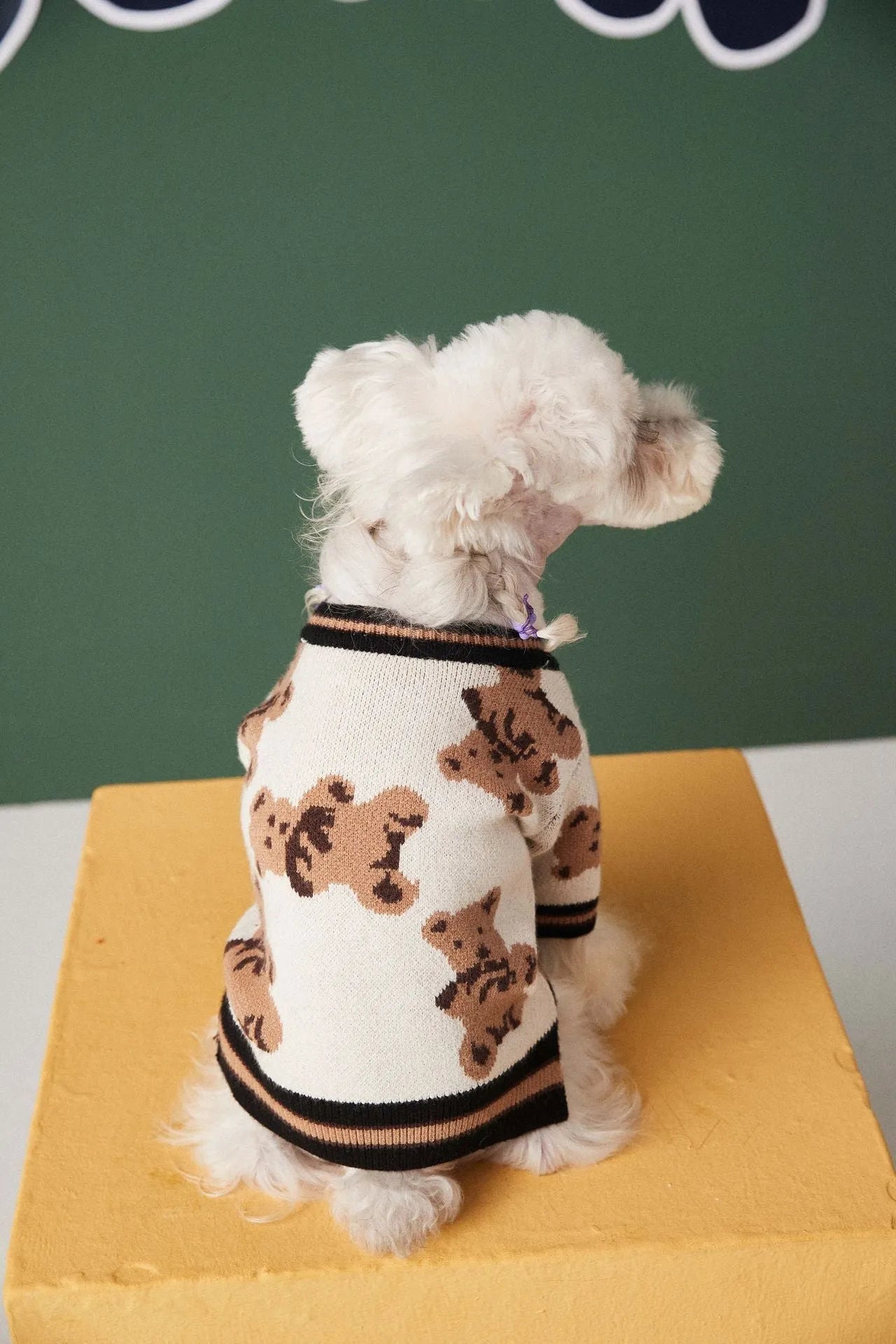 Preppy style wool striped pet sweater for dogs cats in beige colour with V-neck and leash hole on back