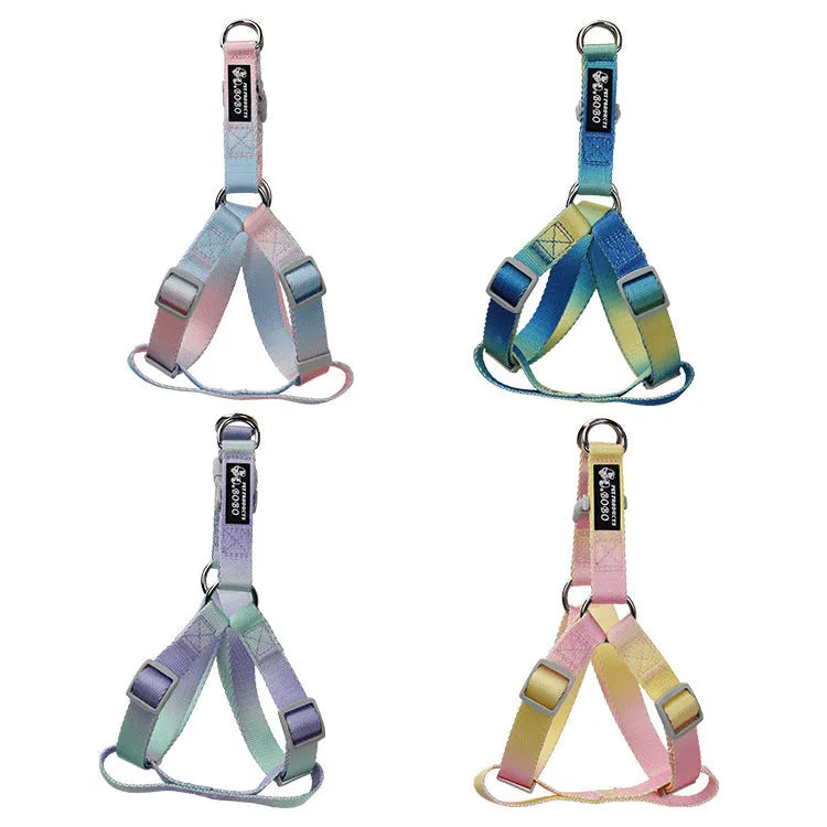 Gradient colour nylon dog leash shown in pink and blue, with collar attachment style.