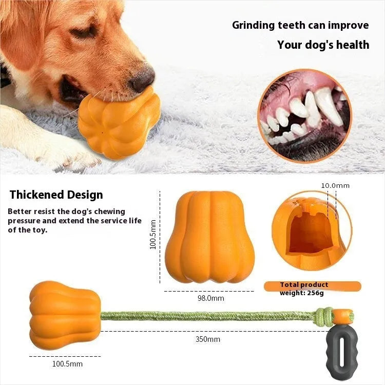 Pumpkin-coloured plastic molar dog chew toy with a blue rope attached on a white background.