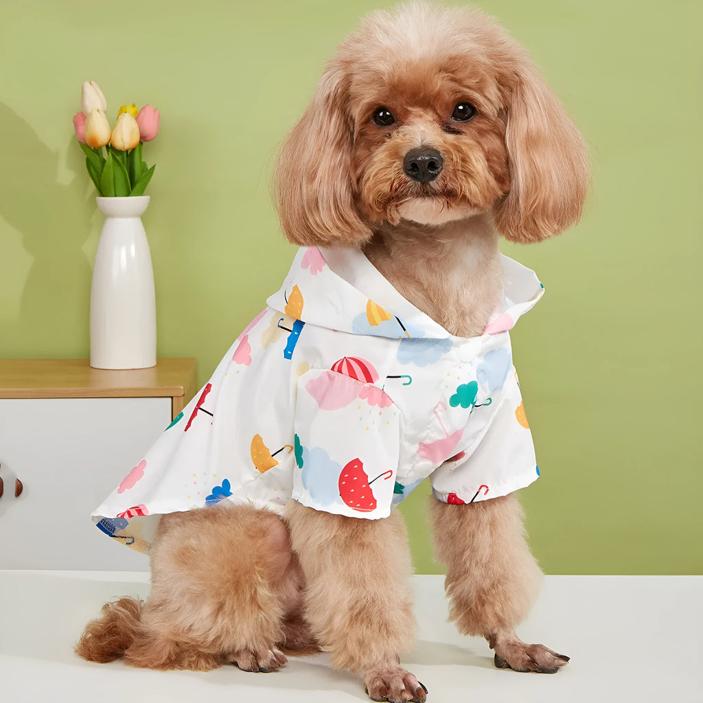 Colourful cartoon umbrella pattern dog raincoat in polyester fabric shown in various sizes