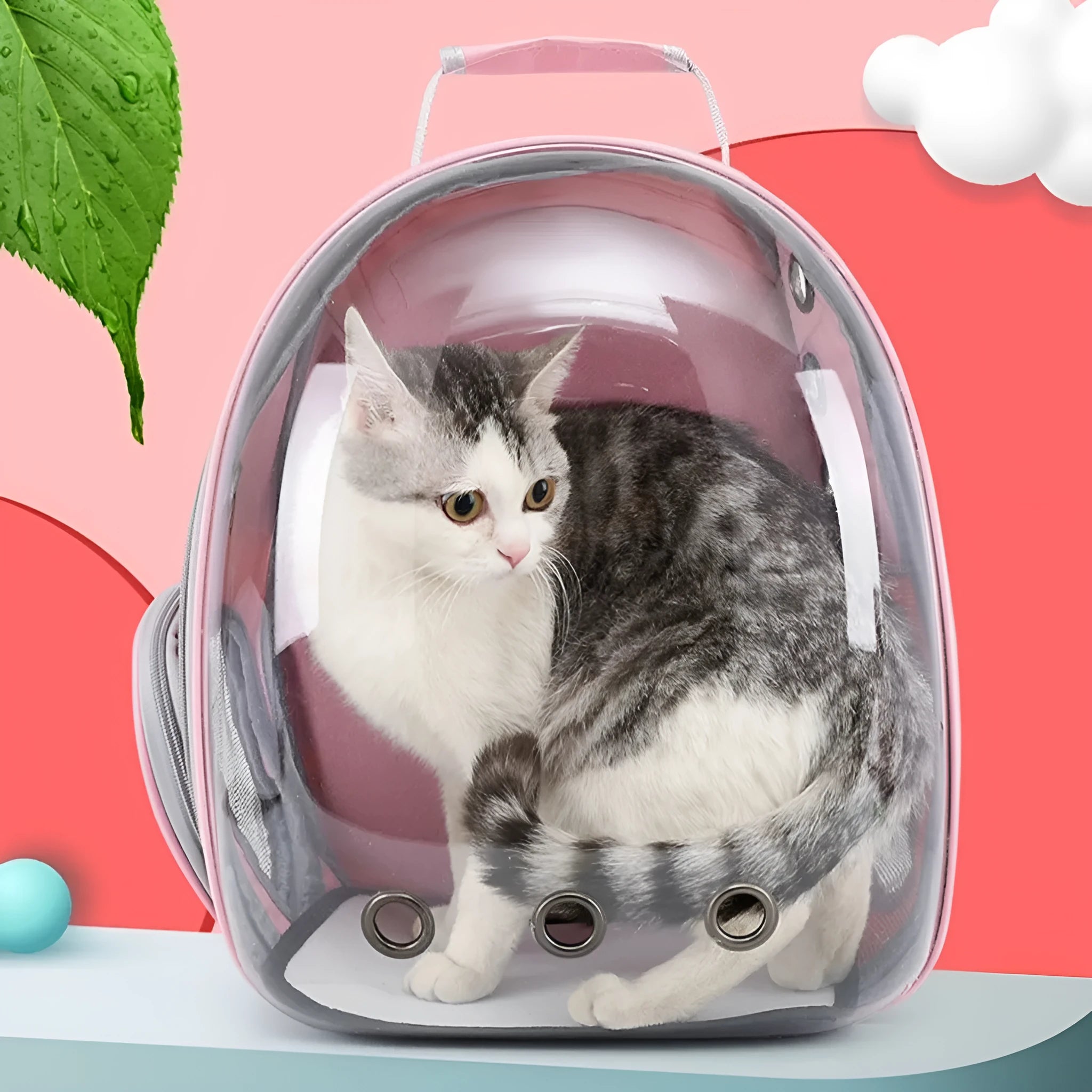 Astronaut style cat backpack pet carrier in grey polycarbonate plastic with side mesh ventilation panels.