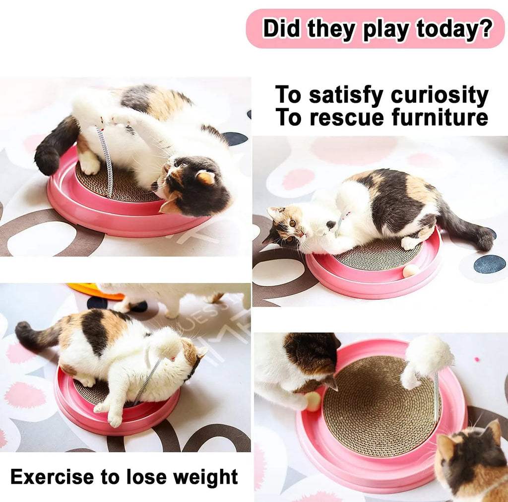Interactive cat scratcher toy with ball track and replaceable cardboard scratching surface