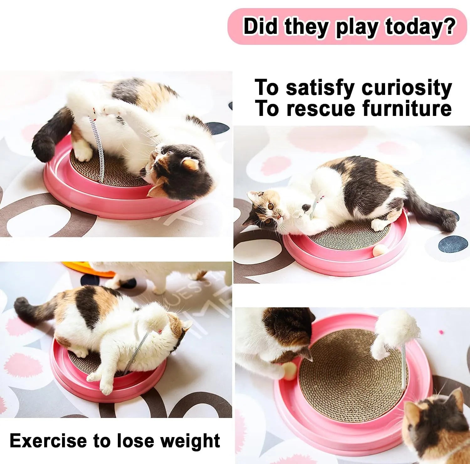 Interactive cat scratcher toy with ball track and replaceable cardboard scratching surface