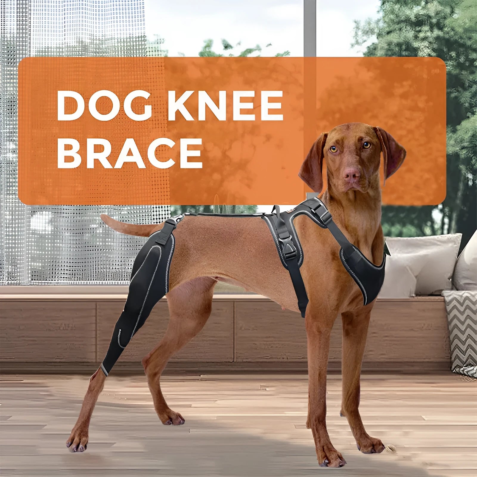 Black dog thigh protective sleeve with adjustable metal support for postoperative leg recovery