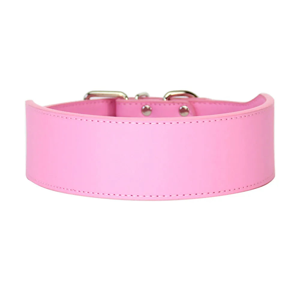 Large dog leather collar with fish-shaped buckle in assorted colours on a white background.