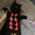 Cat wearing bikini costume in multiple colour options for Halloween and party events