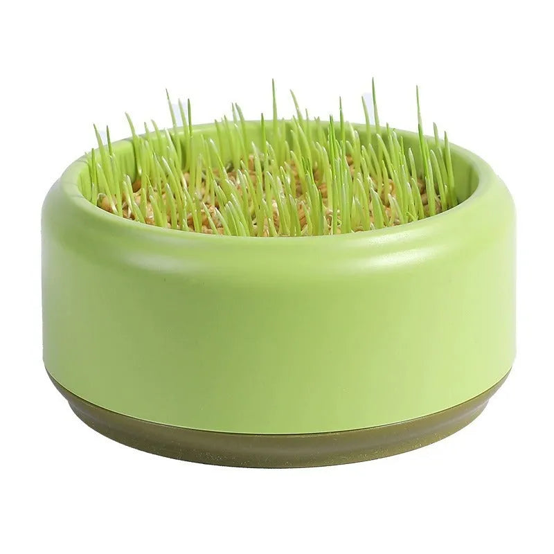 Blue hydroponic cat grass kit with a reusable plastic cup and five packets of wheatgrass seeds.