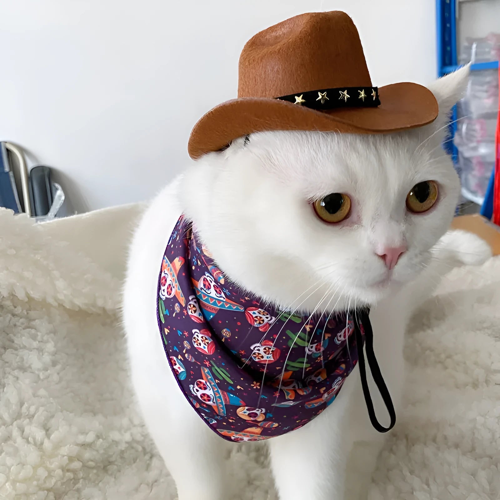 British cowboy hat for cats in non woven fabric with ribbon or velvet belt trim
