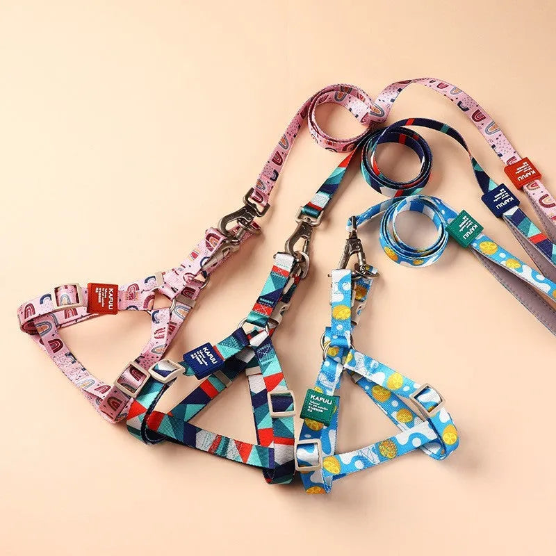 Blue polyester dog harness and lead combo set showing adjustable chest strap and attached rope.
