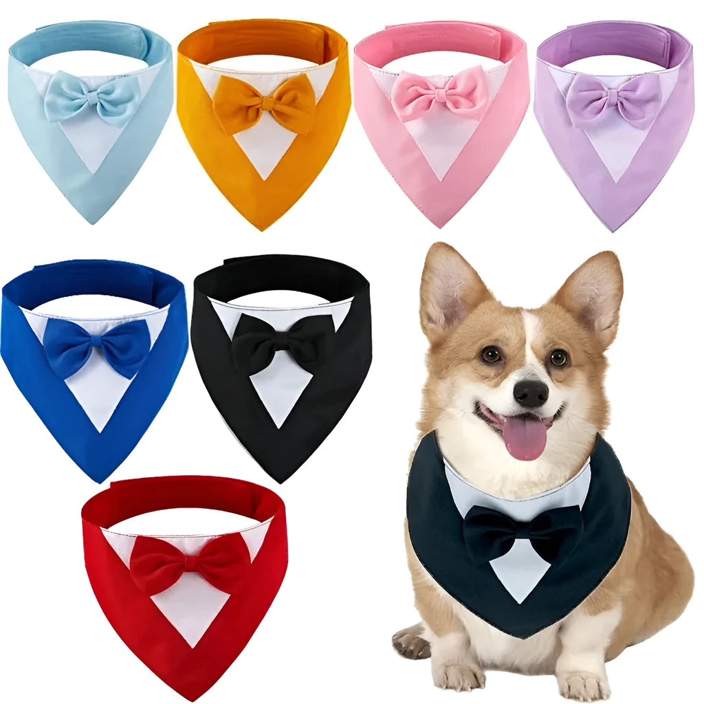 Colourful cotton dog bandana bib scarf with absorbent layer shown in multiple sizes on a collar.