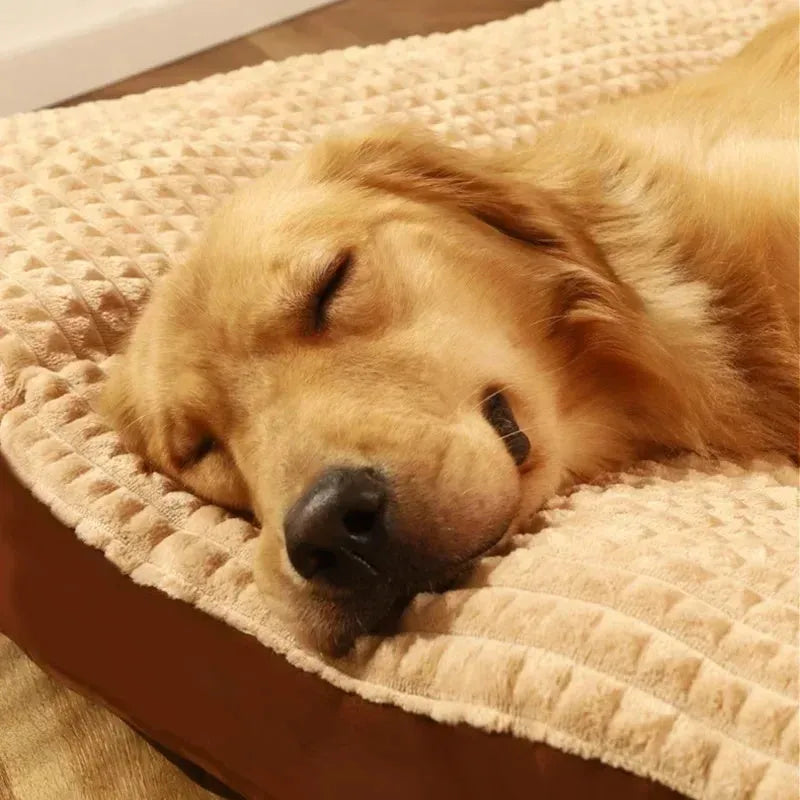 Detachable soft fleece dog bed in green, shown with blanket separated from the cushion base.
