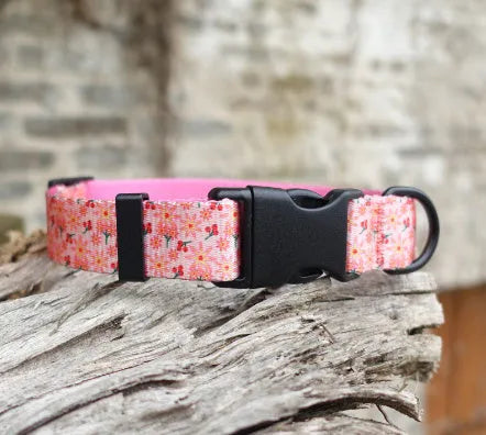 Flower pattern nylon pet collar in Hanada colour with adjustable sizing