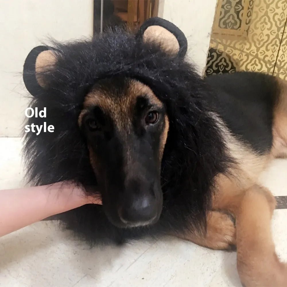Dog wearing a brown lion headdress costume wig with a full mane and elastic neckband